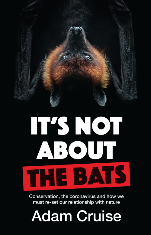 It's Not About the Bats