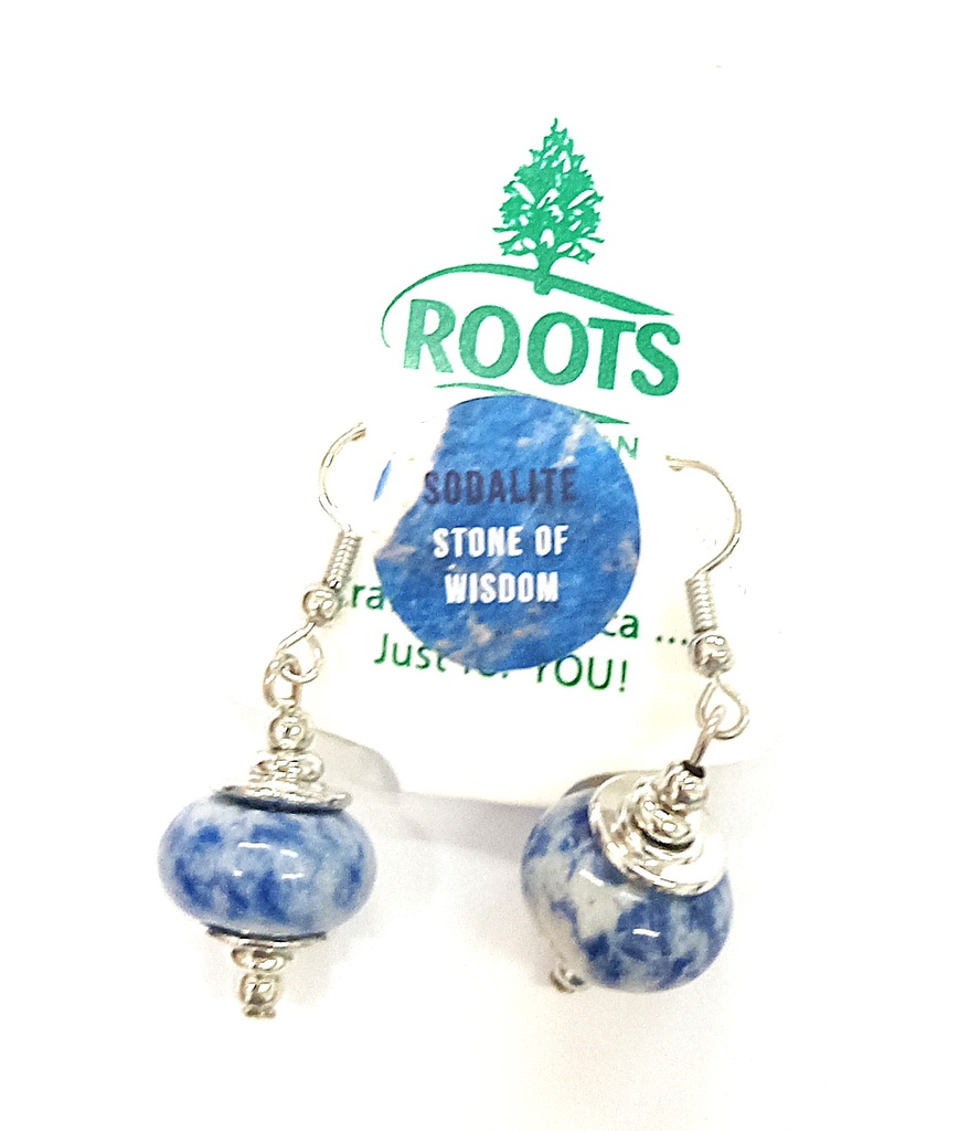 ROC Sodalite Earrings