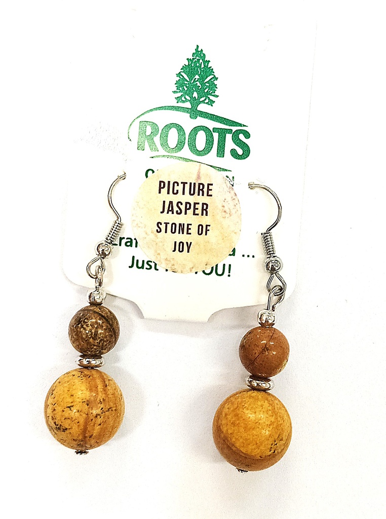 Picture Jasper Earrings