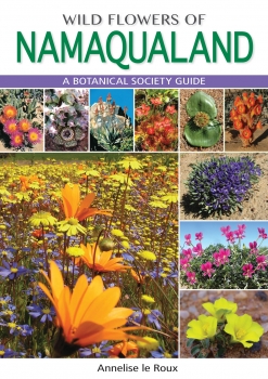 Wildflowers of Namaqualand