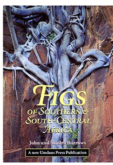 Figs of Southern &amp; South-Central Africa