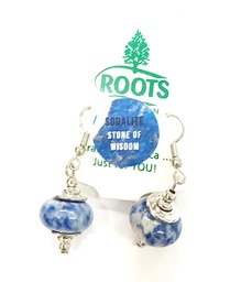 [JEWEL] ROC Sodalite Earrings