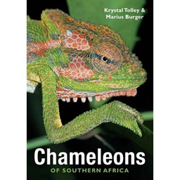 [ZOOBK] Chameleons of Southern Africa